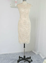 Marvelous Champagne Mother Of The Bride Dresses Sheath Appliques