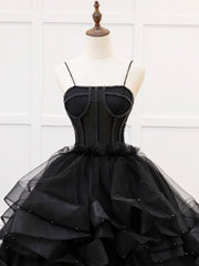 Quinceanera Dress A-Line Tulle Beads Black Long Prom Dress Black Sweet Dress